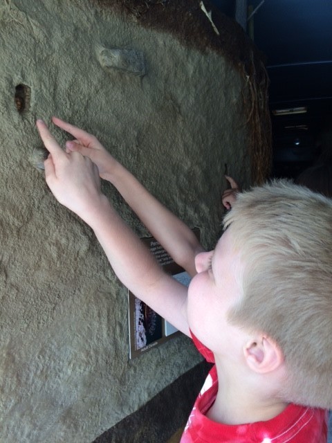 student pointing at fossil
